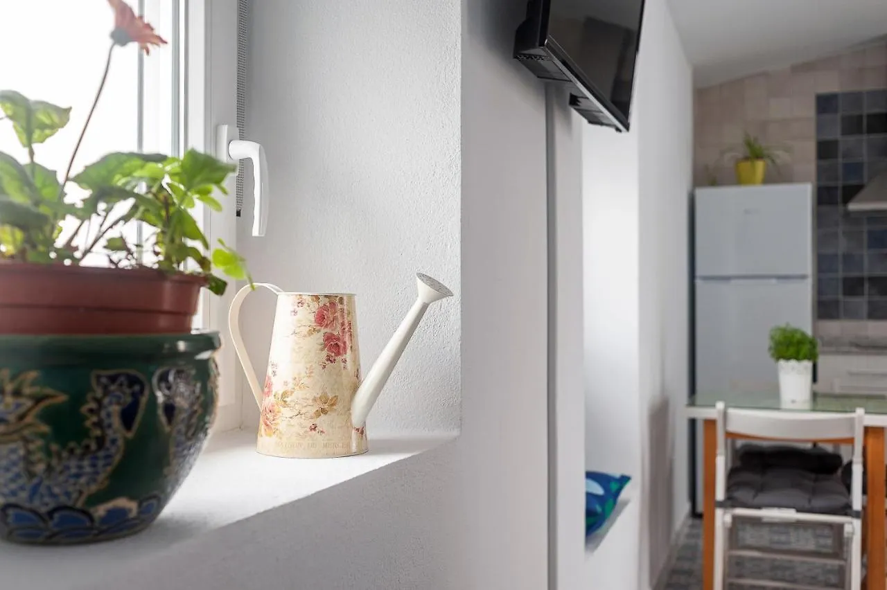 Apartment Apartamento Lola - Solo Familias Conil De La Frontera Spain