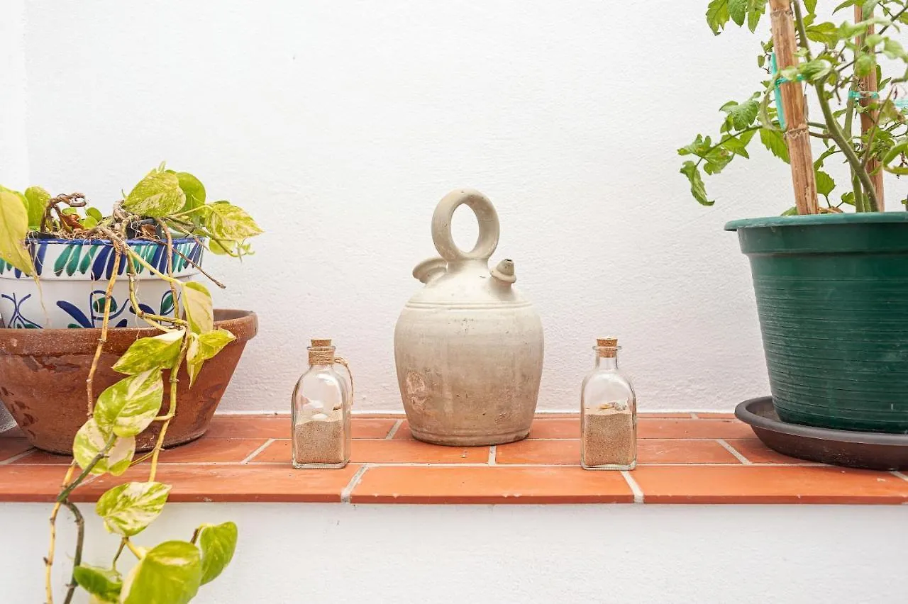 Apartamento Lola - Solo Familias Conil De La Frontera 0*,  Spanien